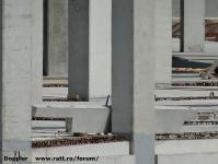 Imagine atasata: Dermatina - 2015.06.14 - 25.jpg